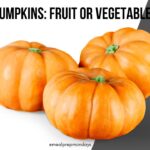 Pumpkins Fruit or Vegetable
