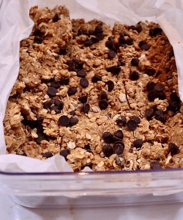 Peanut Butter Granola Bar Single meal prep 1000x1200